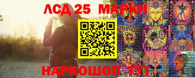спиды Кимры