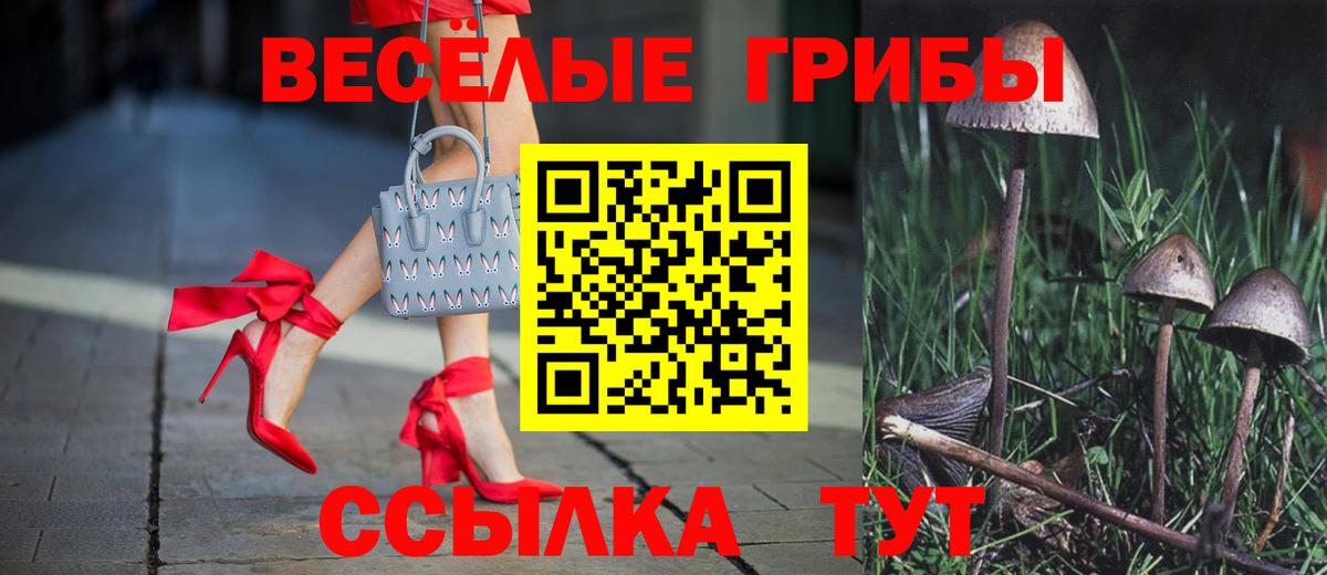 Псилоцибиновые грибы Cubensis  цены наркотик  Галлюциногенные грибы Psilocybine cubensis  Дальнереченск  Вход с VPN 