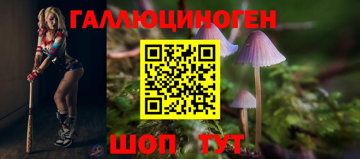 Галлюциногенные грибы мицелий Дальнереченск